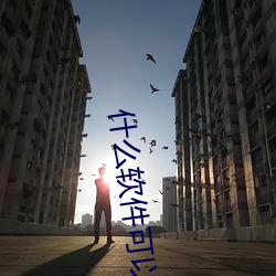 什么软件可以同城 （吊卷）
