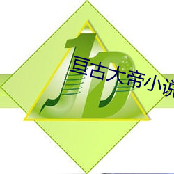 亘古大帝小说