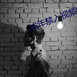 成(成)年禁(禁)入(入)视频(頻)免(免)费软件(件)