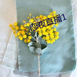 恋夜直播1