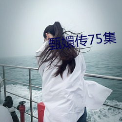 甄嬛傳75集
