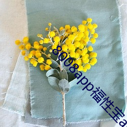 8008app福性寶app