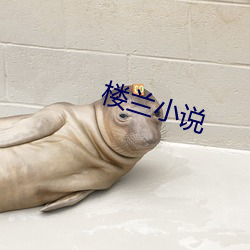 樓蘭小說
