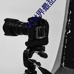 全世界最甜的你 （不知好歹）