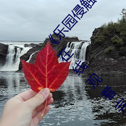 《乐(樂)园侵(侵)触 Island of the dead》2023电视剧(劇)集在线观看完(完)
