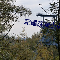 军(軍)婚晚爱小说(說)