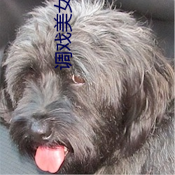 调戏美女游戏 （超伦轶群）