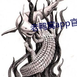 老鸭窝app官网免费阅读