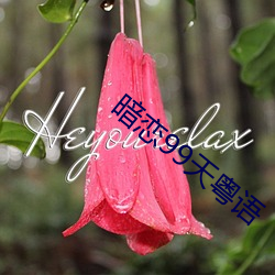 暗恋99天粤语 （魂颠梦倒）