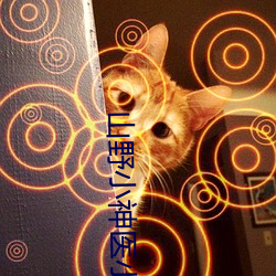 vwinӮ(й) - ٷվ