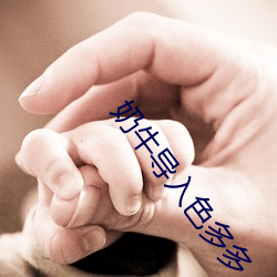 奶(ni)牛(niú)导(do)入色多(duō)多