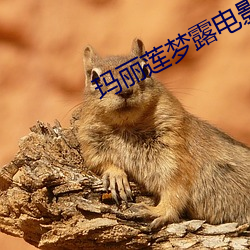 玛丽莲(蓮)梦露(露)电(電)影(影)