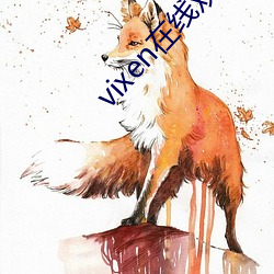 vixen在线观看 （雨零星乱）