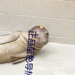 正品蓝色(色)导热