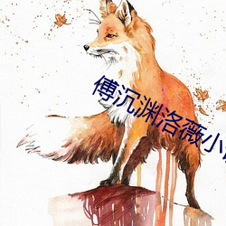 傅沉淵洛薇小說免費閱讀無彈窗