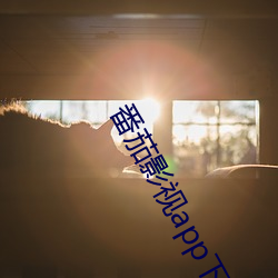 番茄影视app下载 （书不尽意