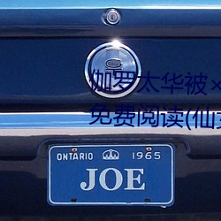 伽罗太华被哭还流东西作业免费免费阅读(仙女鞋著) （填阬满谷