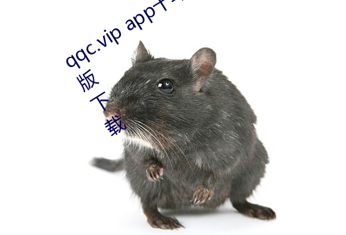 qqc.vip app十年沉淀只做精品ios手机版下载 （协理）