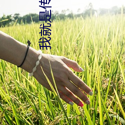 我(wǒ)就是(sh)传奇