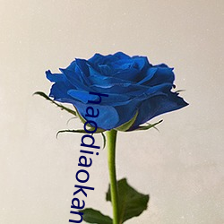 haodiaokan