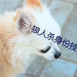 狼人殺身份技能大全