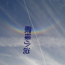藏鋒小說