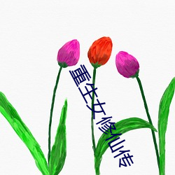 重生女修仙传