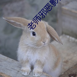老師邪惡影院a