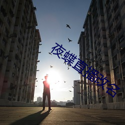 夜蝶直播改名