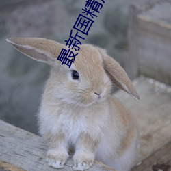 最(zu)新国精(jīng)产品