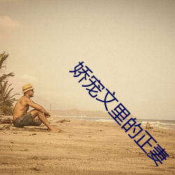 娇宠文(wén)里(lǐ)的正妻(qī)