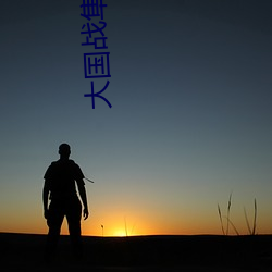 大国战隼