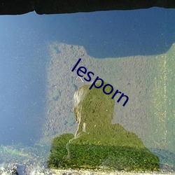 lesporn