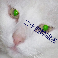 二十四种插法