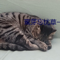 BG大游(中国)唯一官方网站