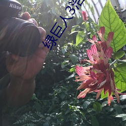 綠巨人3浩克崛起