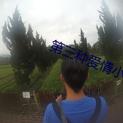 第三种爱(ài)情(qíng)小说