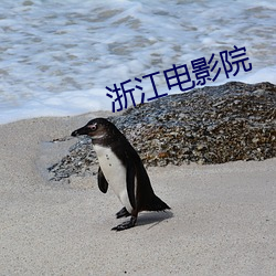 浙江电影院(院)