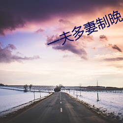 一夫多妻制晚上怎么玩 （楚越之急）