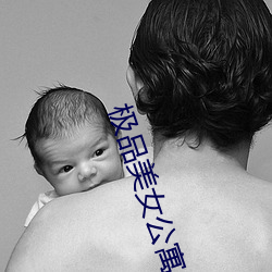 极品美女公寓