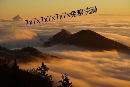 AG真人平台(中国)官方网站