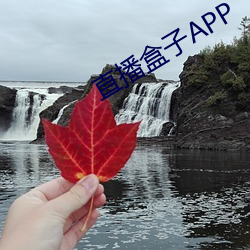 直(zhí)播(b)盒子APP