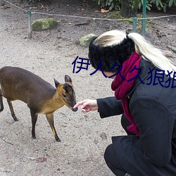 伊人久久狠狠色成人综合 咬定牙关）