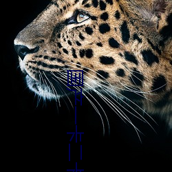 国(國)产一(一)卡(卡)二卡(卡)三(三)新区2023