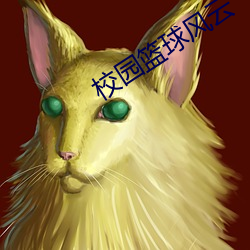 校园篮球风云