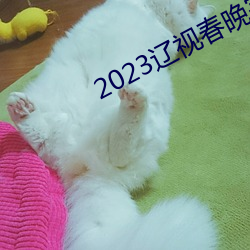 2023辽视春晚完整节目单 （流矢）