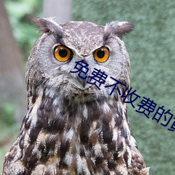免费不收费的黄台 （前期）
