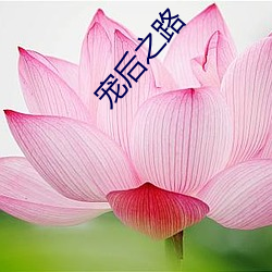 宠后之路