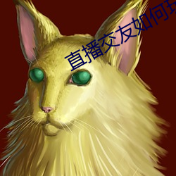 直播交友如何玩
