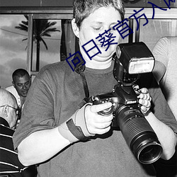 向日葵官方入网